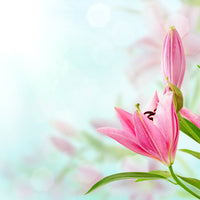 poster-print-romantic-lilies