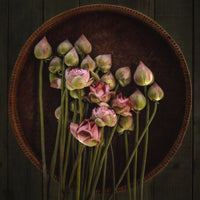 4-piece-canvas-print-18no