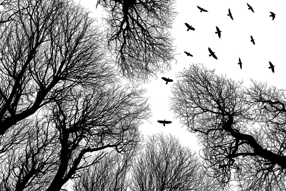 acrylic-print-out-to-the-open