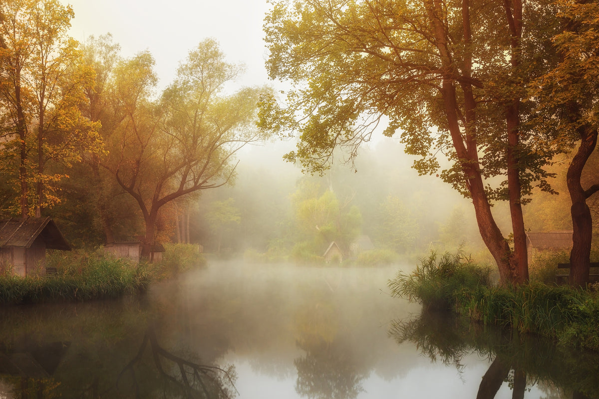acrylic-print-foggy-autumn-x