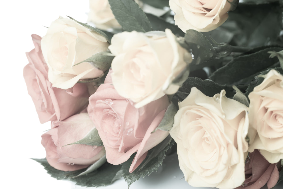 3-piece-canvas-print-romantic-rose