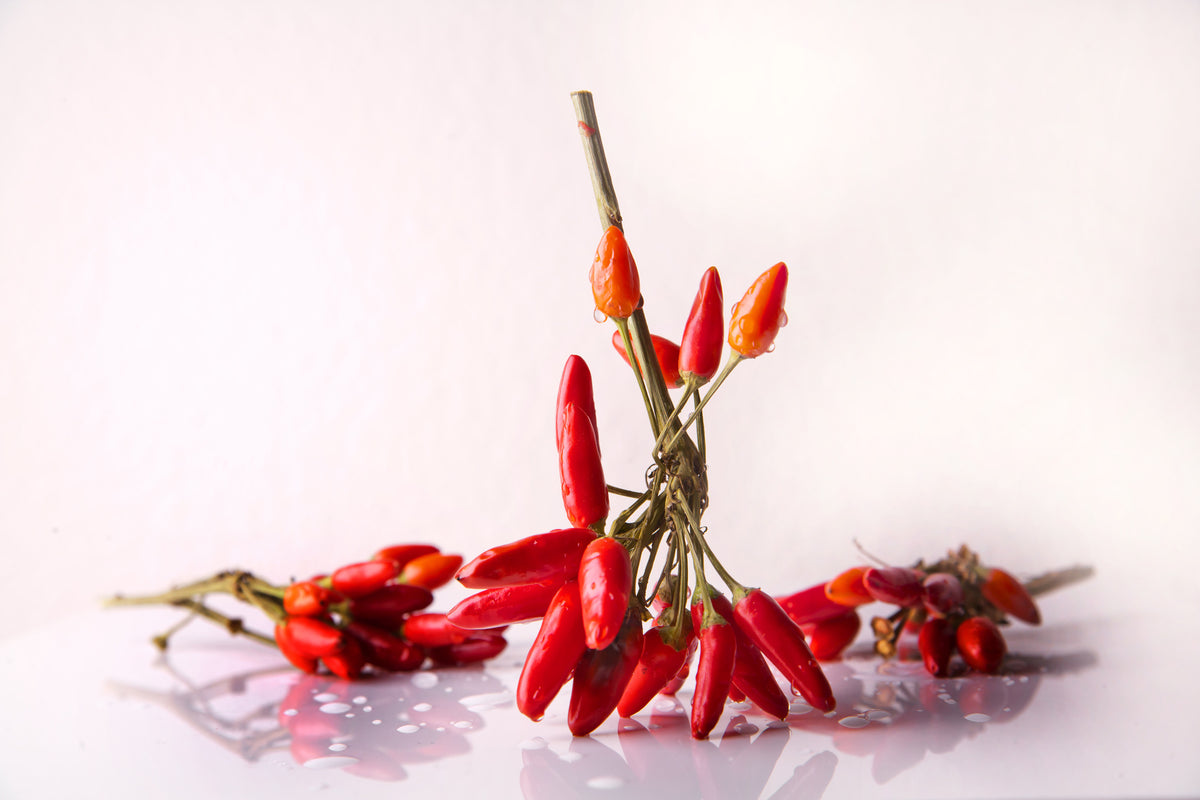 framedcanvas-print-a-bouquet-of-chili