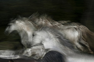 3-piece-aluminium-print-into-the-dark