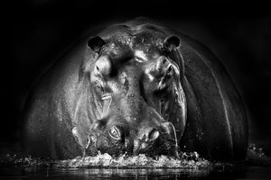 acrylic-print-power