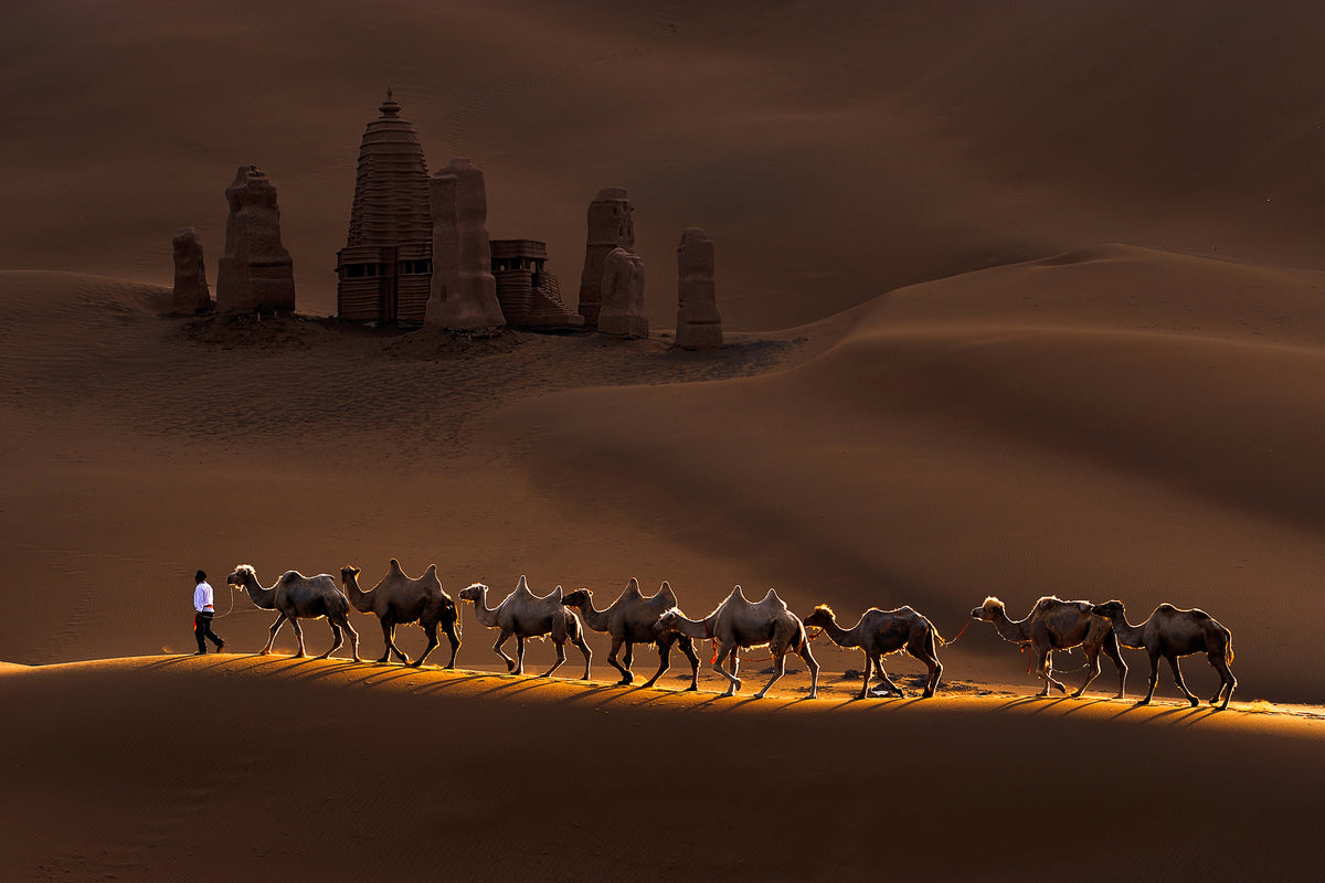 framedcanvas-print-castle-and-camels