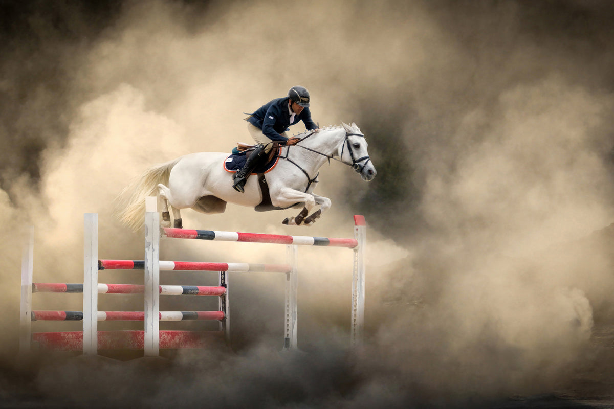 acrylic-print-white-horse-x