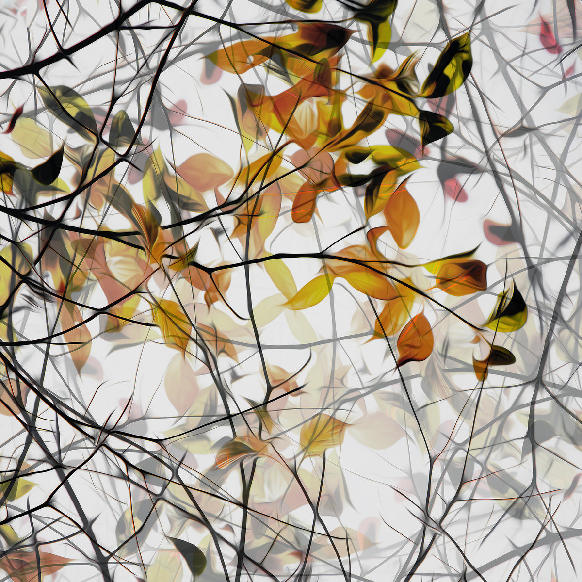 canvas-print-autumn-song