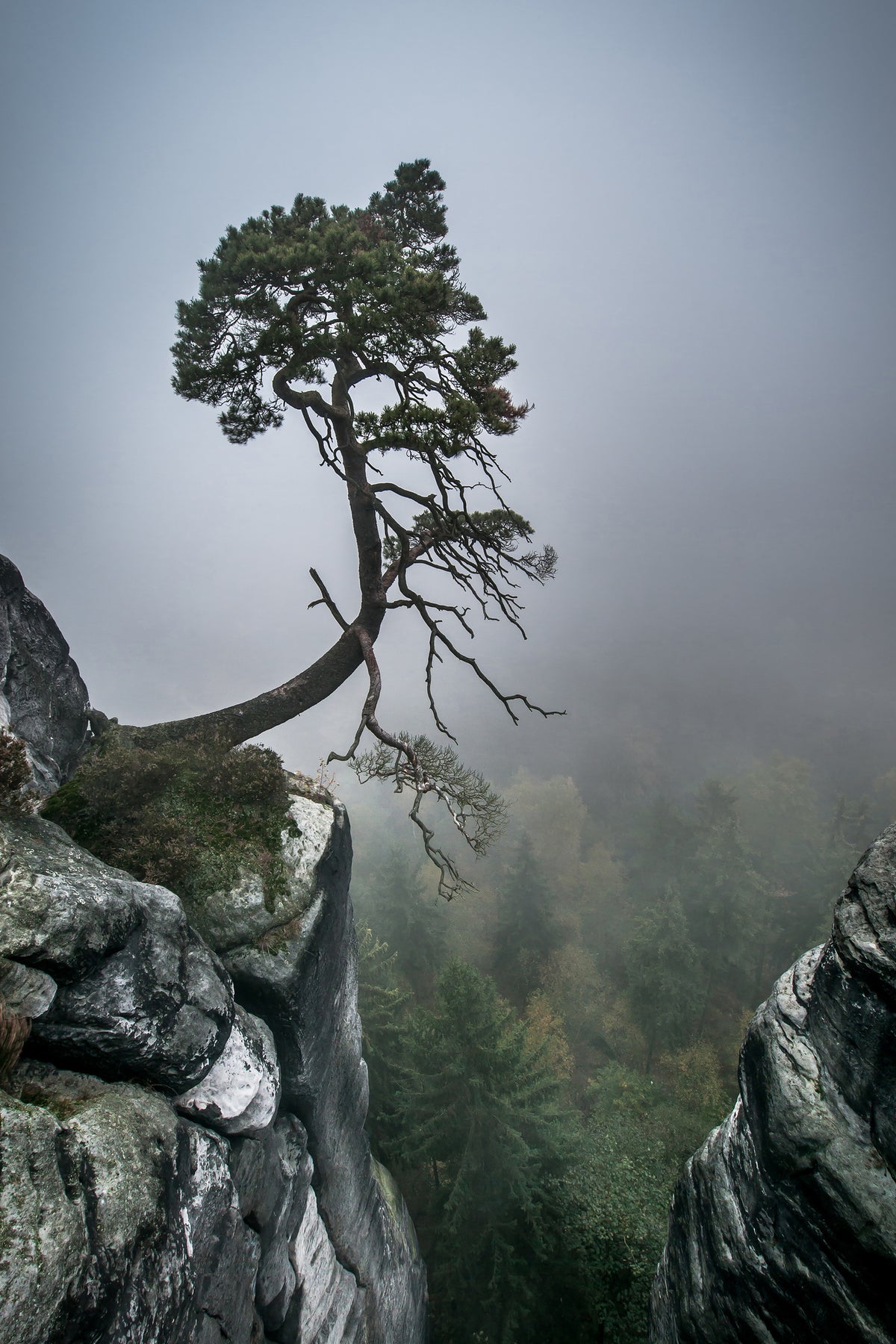canvas-print-against-the-odds-x
