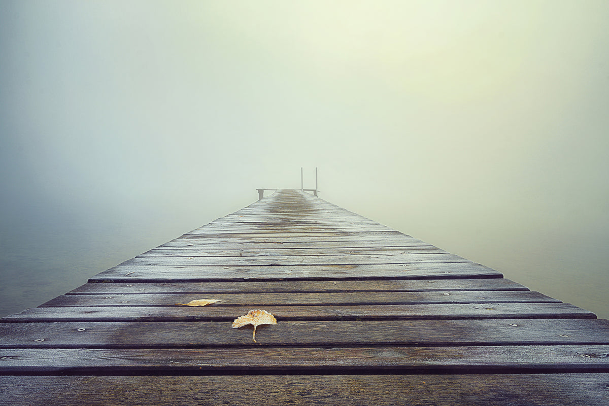 canvas-print-cold-and-misty-morning-x