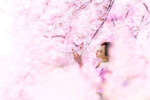 poster-print-sakura