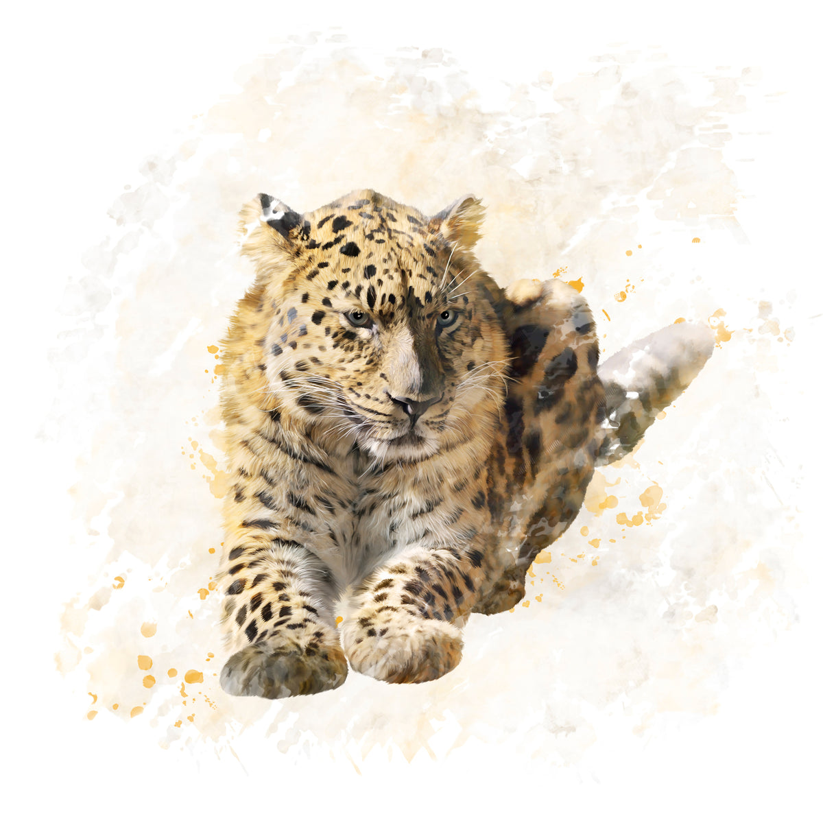 acrylic-print-painting-lynx