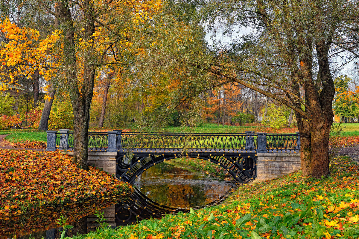 framedcanvas-print-romantic-park