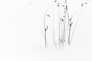acrylic-print-black-on-white