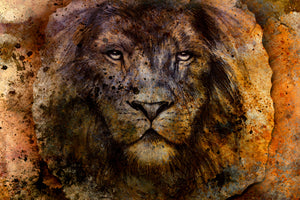 3-piece-acrylic-print-portrait-of-a-lion-ii