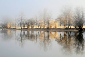 poster-print-january-morning