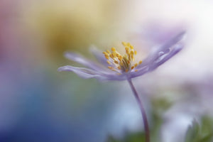 modern-3-piece-aluminium-print-springtime-watercolor