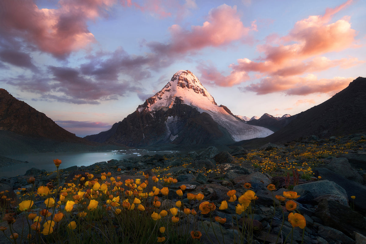 poster-print-snowy-peak-x