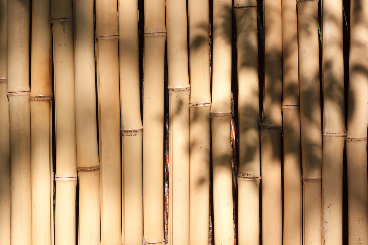 3-piece-aluminium-print-natural-bamboo