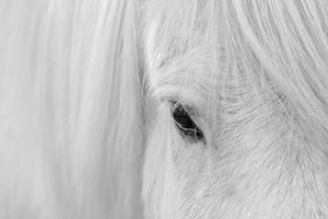 modern-3-piece-canvas-print-whisper-of-iceland