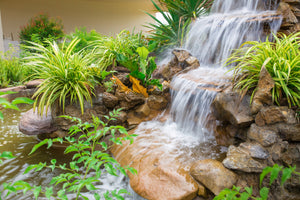 acrylic-print-garden-of-eden
