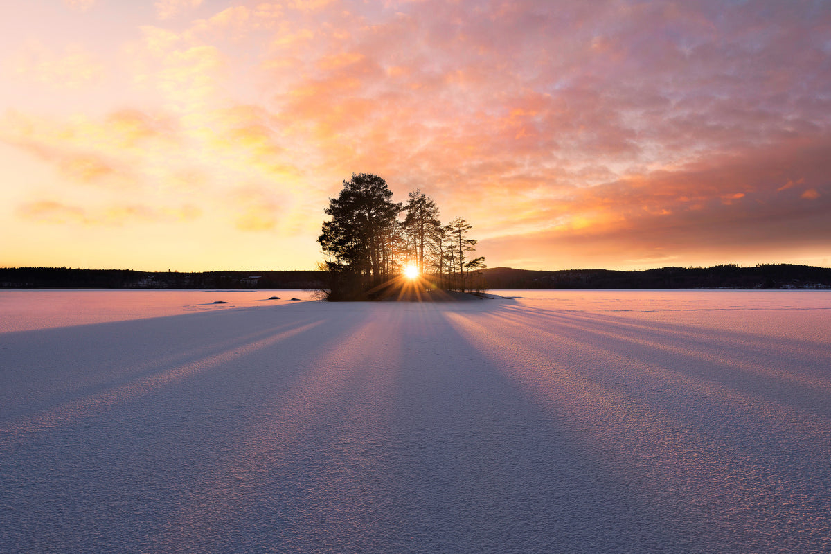 canvas-print-sun-kissed