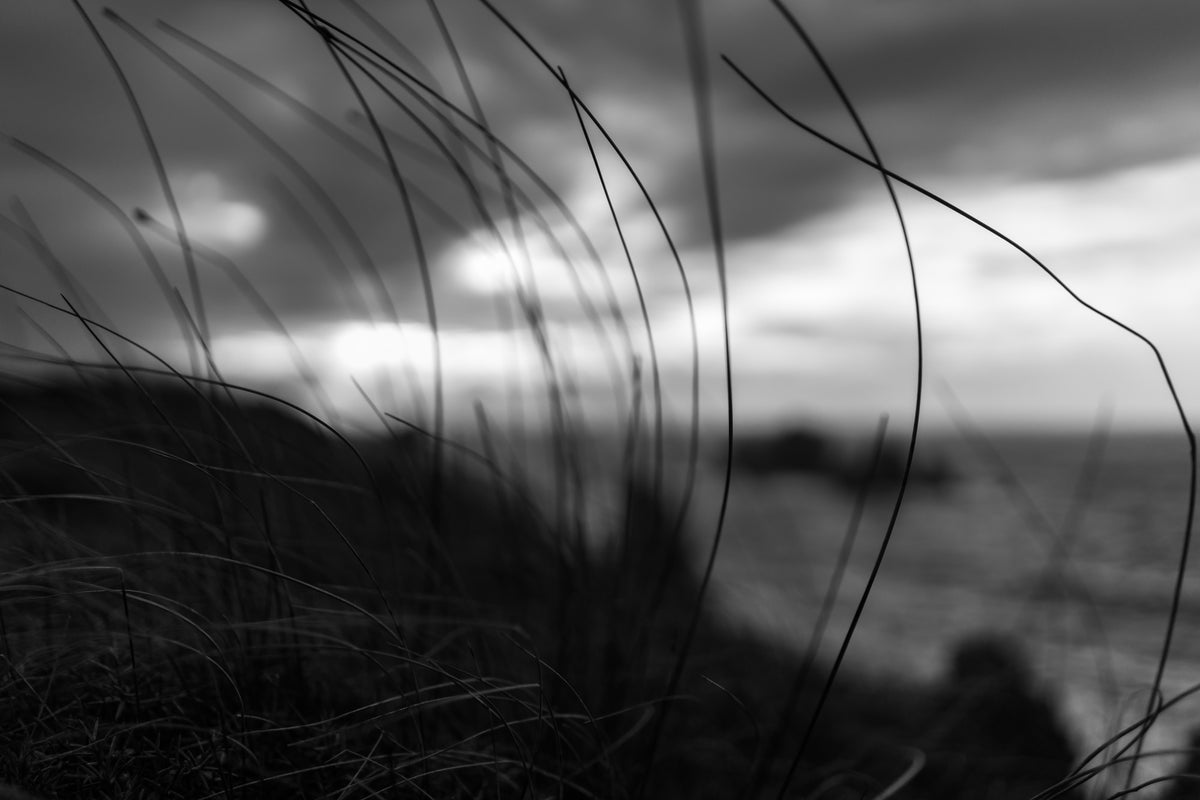 framedposter-print-the-wind-brings-the-night