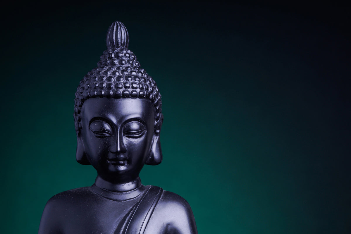 canvas-print-the-wisdom-of-the-buddha