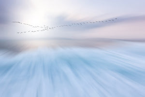 canvas-print-fly-over-x