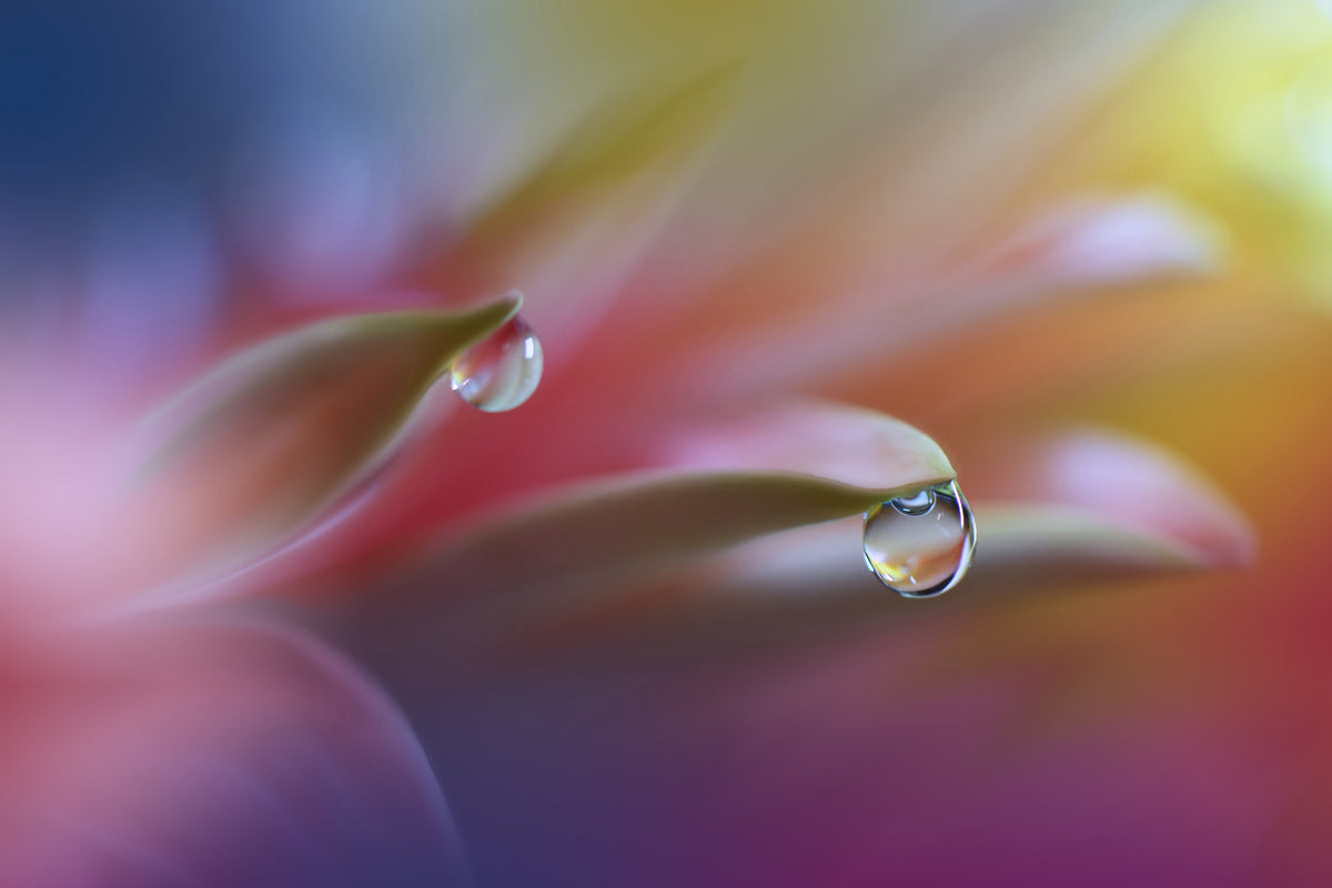 acrylic-print-sound-of-colors-x
