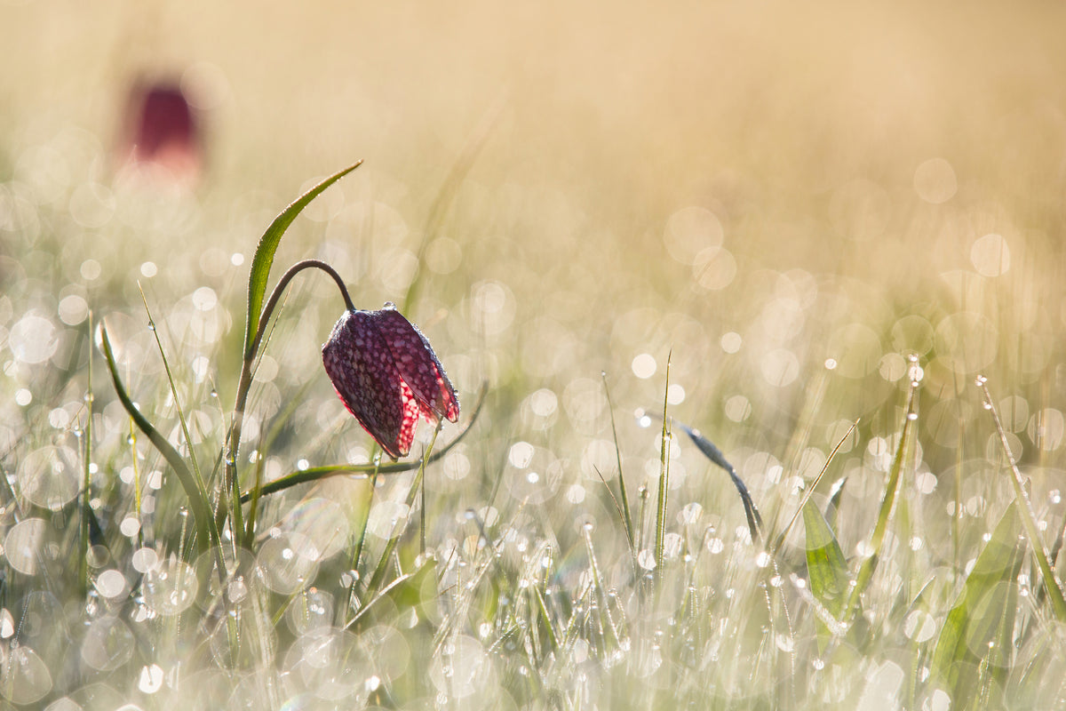 modern-3-piece-canvas-print-morningdew