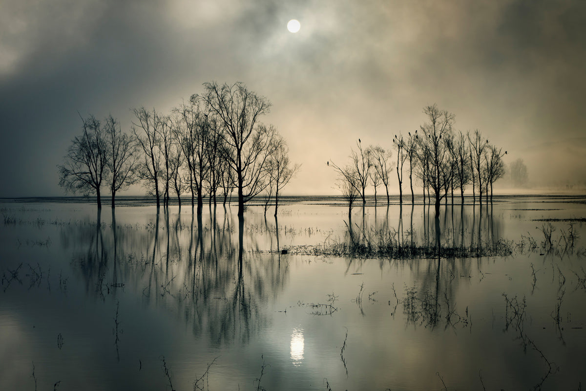 acrylic-print-lakes-secret