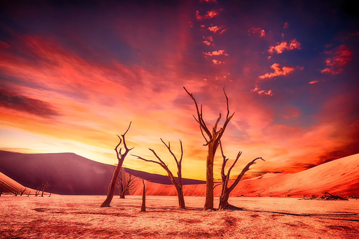 framedcanvas-print-colorful-desert