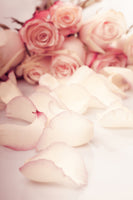 canvas-print-soft-rose-petals