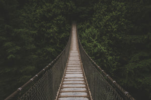framedcanvas-print-exciting-bridge