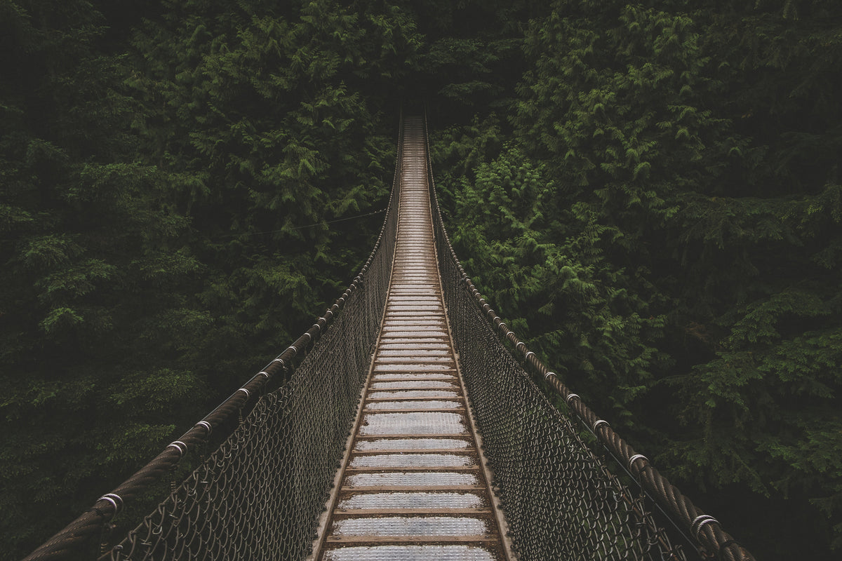 framedcanvas-print-exciting-bridge