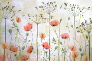 framedcanvas-print-poppy-meadow-x