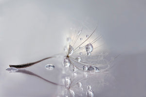 canvas-print-silver-x