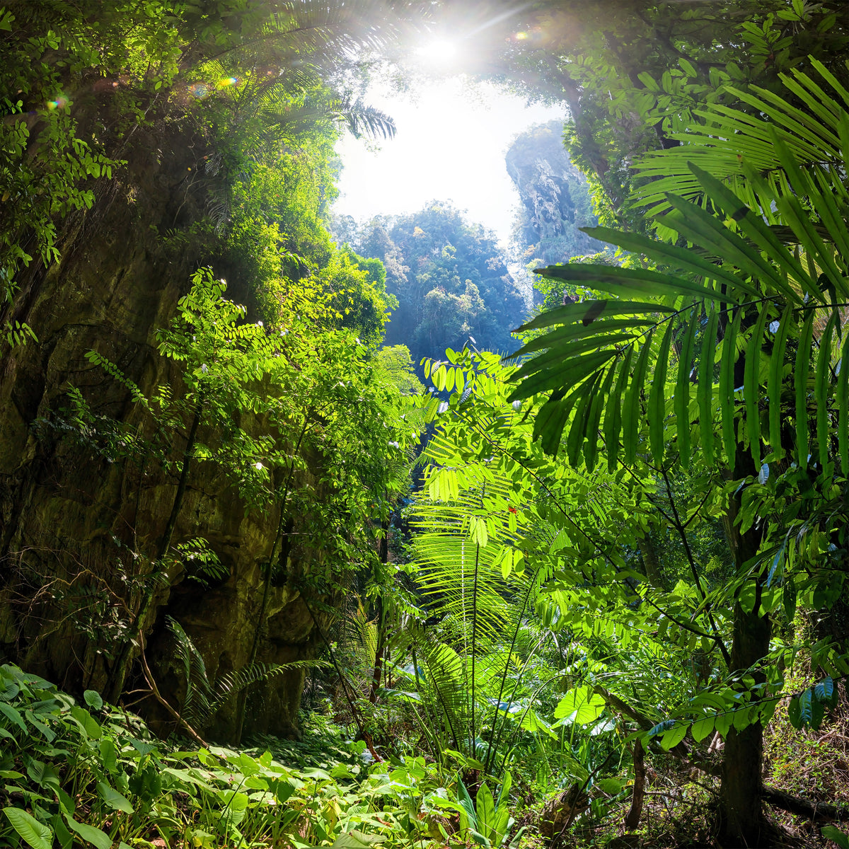 9-piece-canvas-print-clearing-in-the-jungle