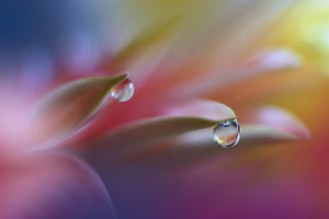 aluminium-print-sound-of-colors-x