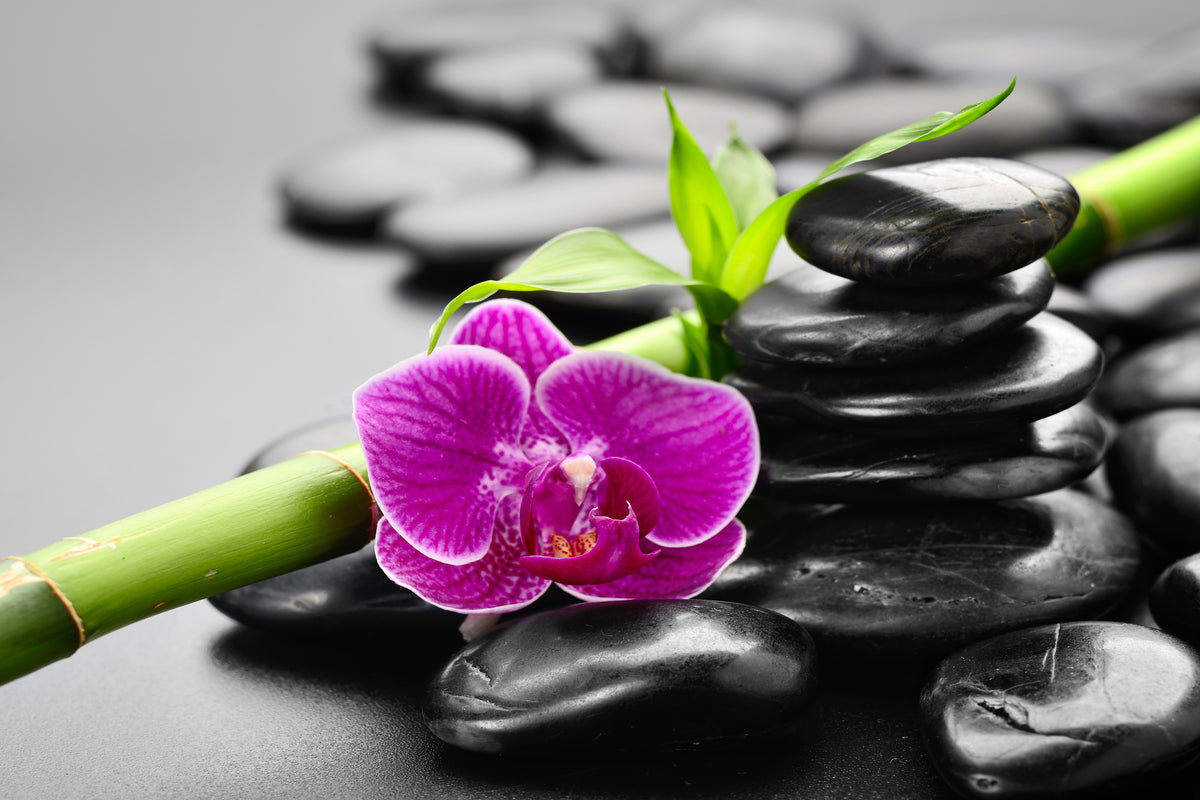 aluminium-print-feng-shui-orchid