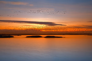 acrylic-print-by-sunset