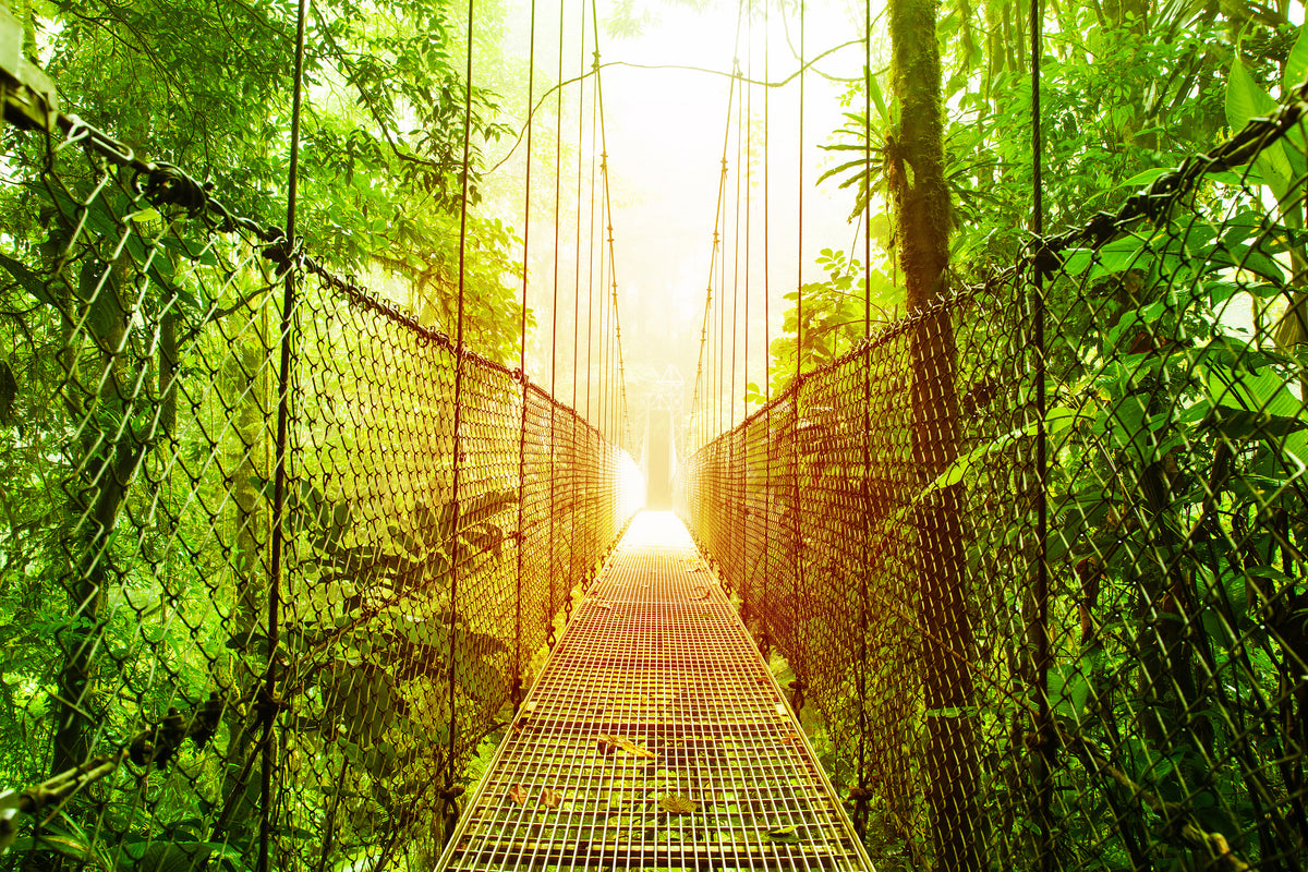 modern-3-piece-acrylic-print-suspension-bridge