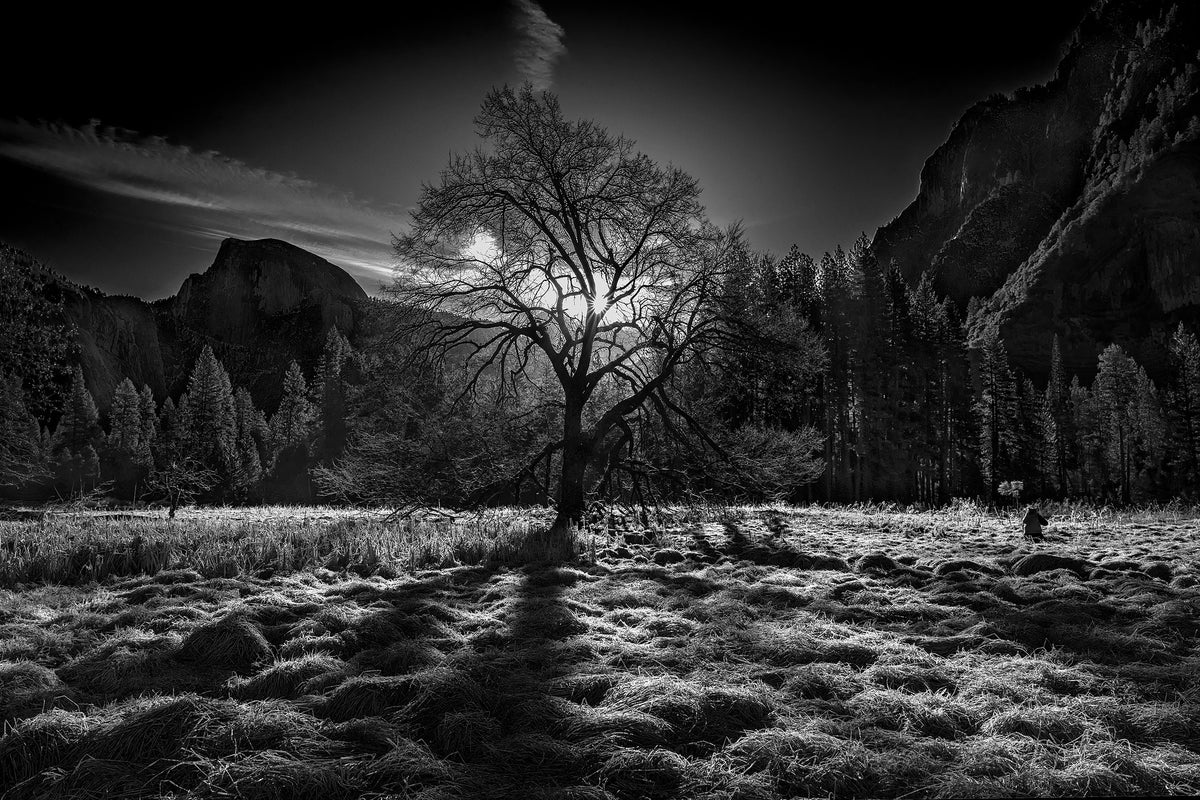 framedcanvas-print-the-winter-spirit
