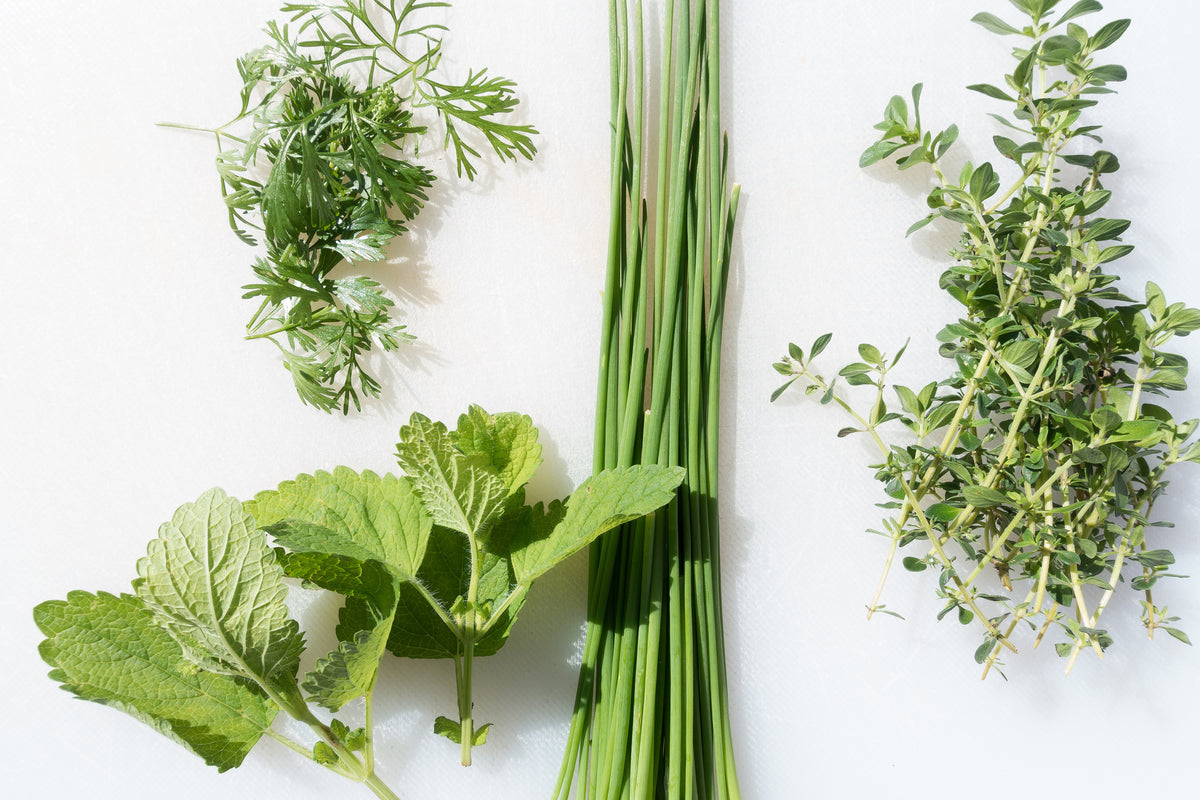 acrylic-print-fresh-herbs