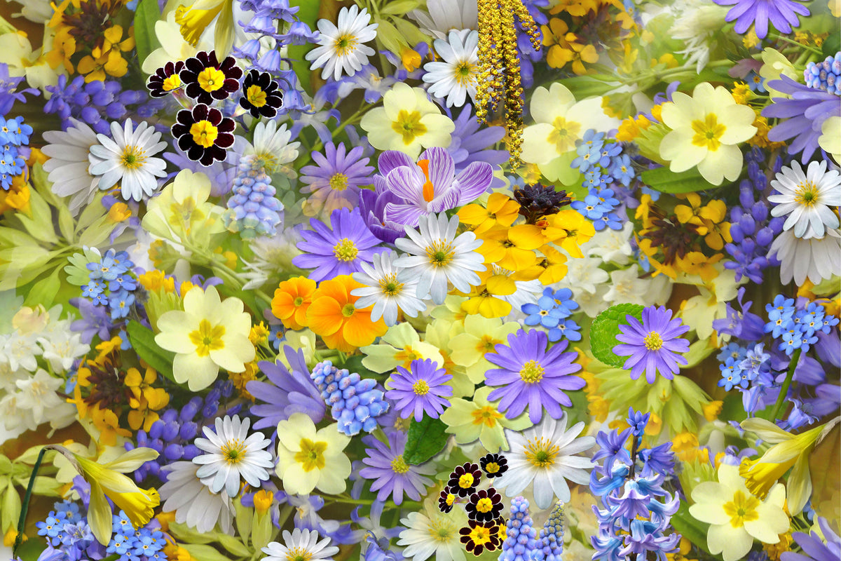 aluminium-print-fresh-spring-flowers