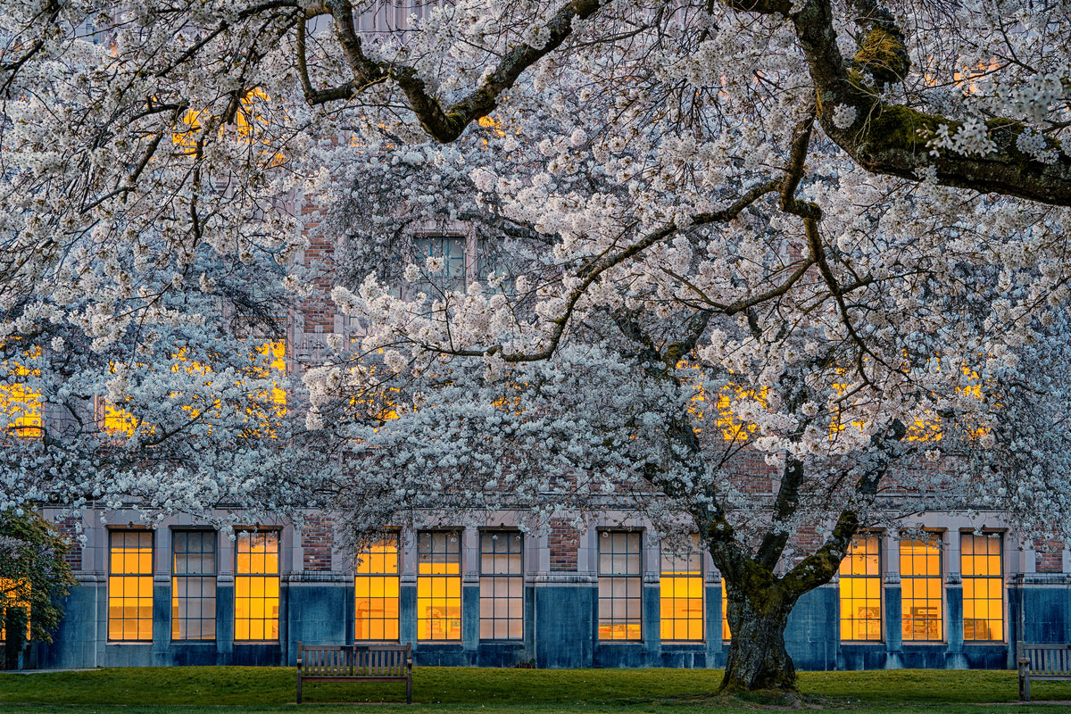 framedcanvas-print-morning-at-university-of-washington-x