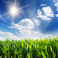 4-piece-acrylic-print-spring-grass