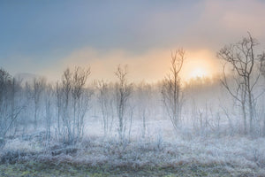 3-piece-aluminium-print-a-touch-of-winter