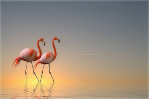canvas-print-serenity-ii