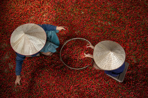 modern-3-piece-aluminium-print-chilli